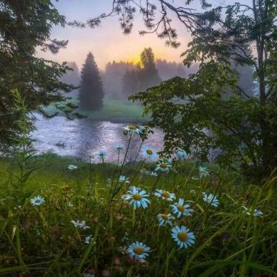 江南体育下载下载手机版